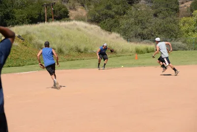 DSC_3888 (Large).JPG